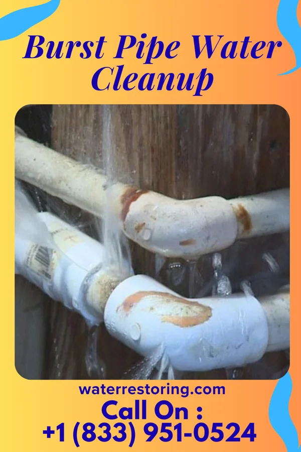 Burst Pipe Water Cleanup in Crosswicks, NJ