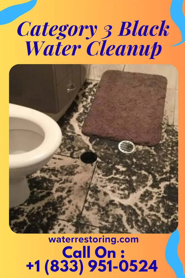 Category 3 Black Water Cleanup in Crosswicks, NJ