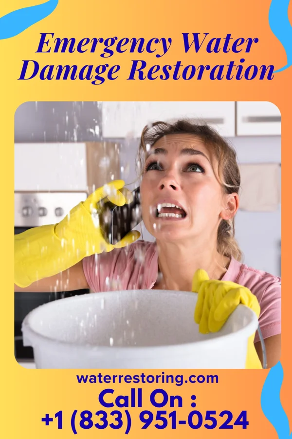 Emergency Water Damage Restoration in Crosswicks, NJ