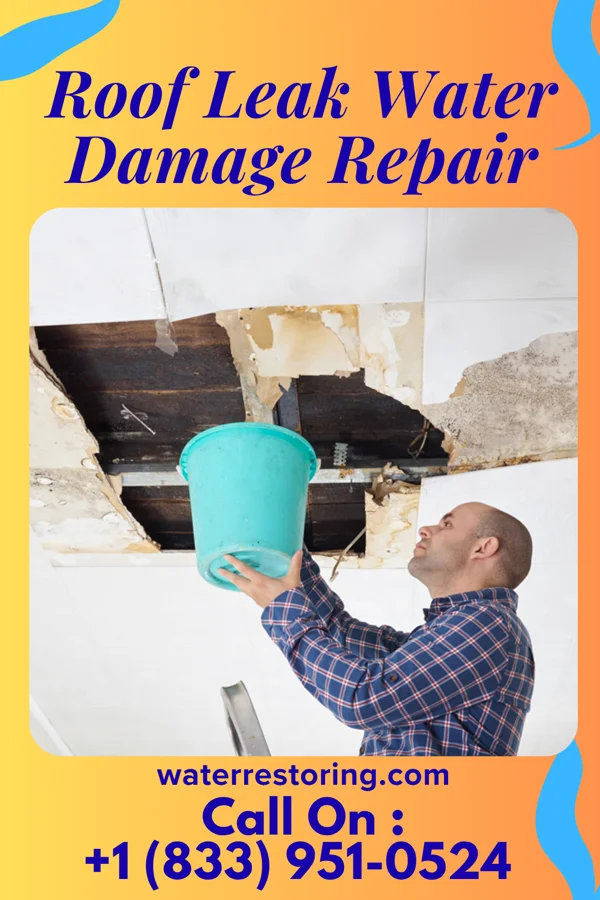 Roof Leak Water Damage Repair in Crosswicks, NJ