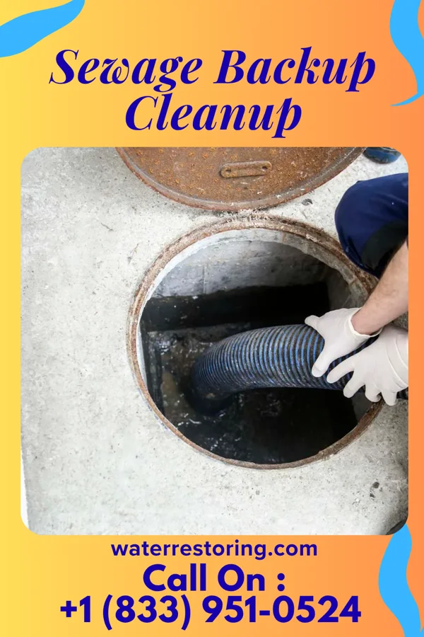 Sewage Backup Cleanup in Crosswicks, NJ