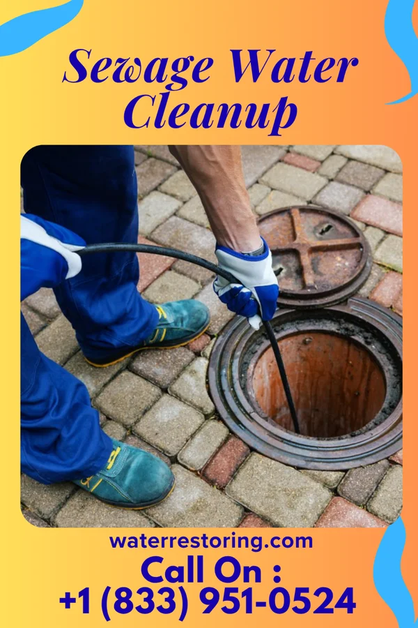 Sewage Water Cleanup in Crosswicks, NJ